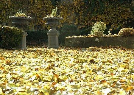 Panzió Le Manoir De Presle - Chambres D'hote *