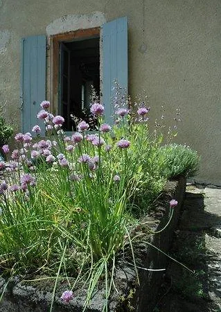 Le Manoir De Presle - Chambres D'hote Montaigu-le-Blin