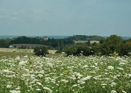 Le Manoir De Presle - Chambres D'hote Montaigu-le-Blin