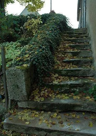 Panzió Le Manoir De Presle - Chambres D'hote Montaigu-le-Blin